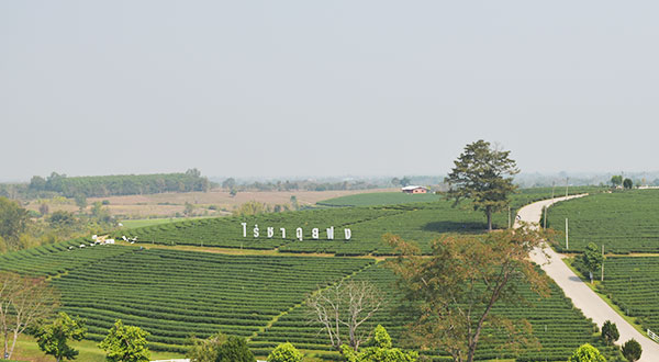 Multi Day Tour